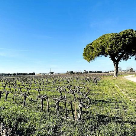 Les Appartements Du Mas - Emeraude Aigues-Mortes Exterior foto